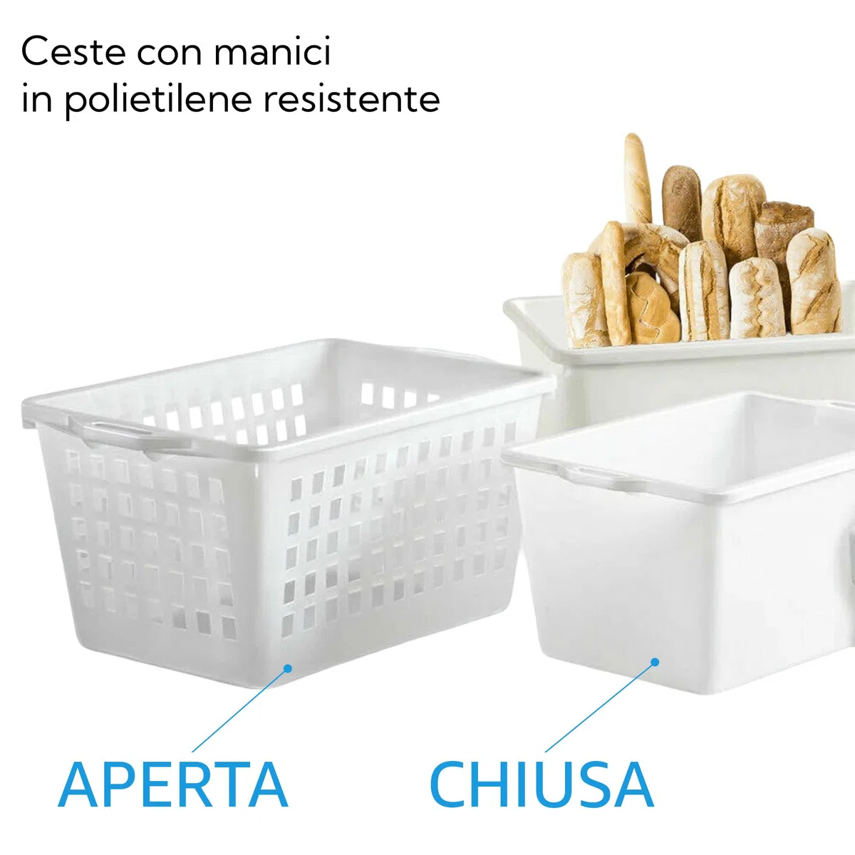 Sicignano | Cesta Pane in Polietilene – Adatta a Contatto Alimentare – Made in Italy – Impilabile, Professionale, per Forni e Panifici (Cesta Chiusa 70L, 1 Pezzo)