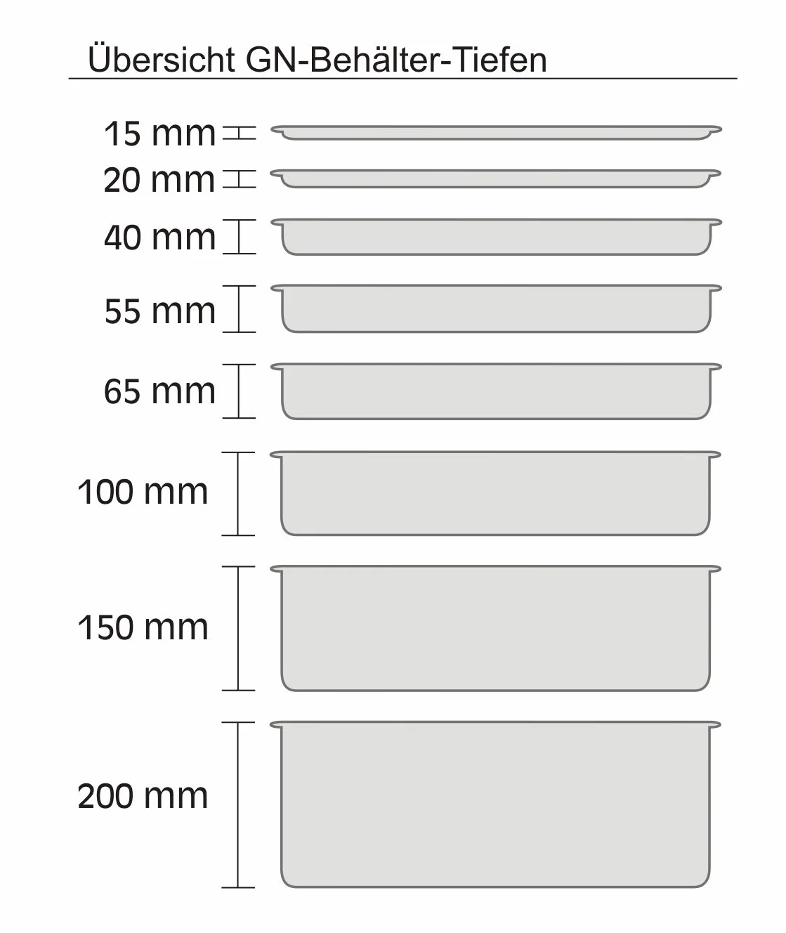 APS 81206 GN 1/2 - Contenitore, 9,5 litri, profondità: 150 mm