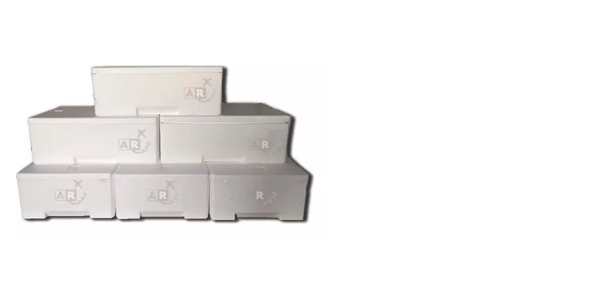 set 6 pezzi CASSA TERMICA IN POLISTIROLO da 3 kg/7,50 lt con coperchio - BOX CONTENITORI TERMICI - TRASPORTO ALIMENTI - 6 PEZZI (3 KG)
