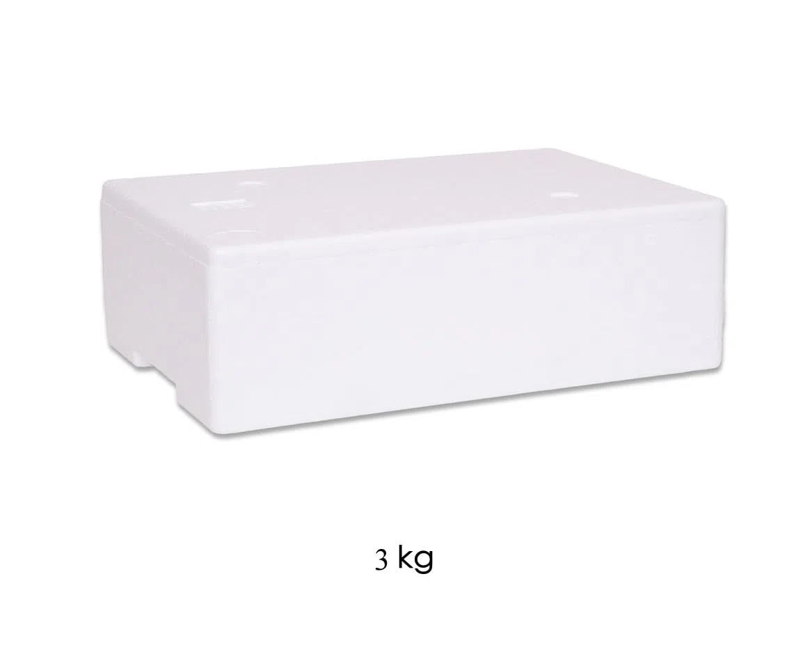 set 6 pezzi CASSA TERMICA IN POLISTIROLO da 3 kg/7,50 lt con coperchio - BOX CONTENITORI TERMICI - TRASPORTO ALIMENTI - 6 PEZZI (3 KG)