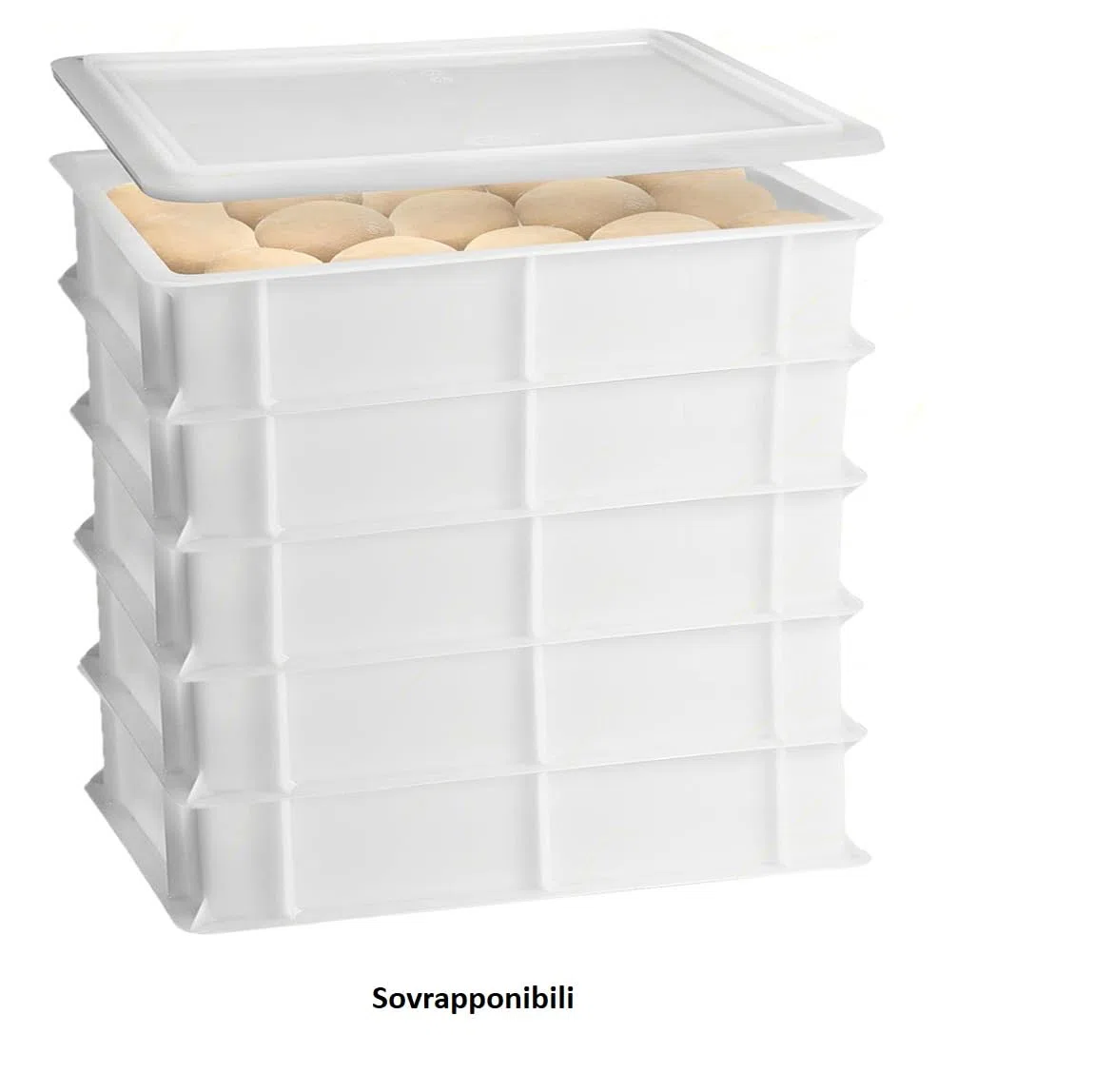 Set 6 Cassette con Coperchio portaimpasti palline Pizza Pane panette 60x40x13 certificata per alimenti VASCHETTA DA FRIGO professionale litri 24 impilabile sovrapponibile PIZZERIA CASEIFICI