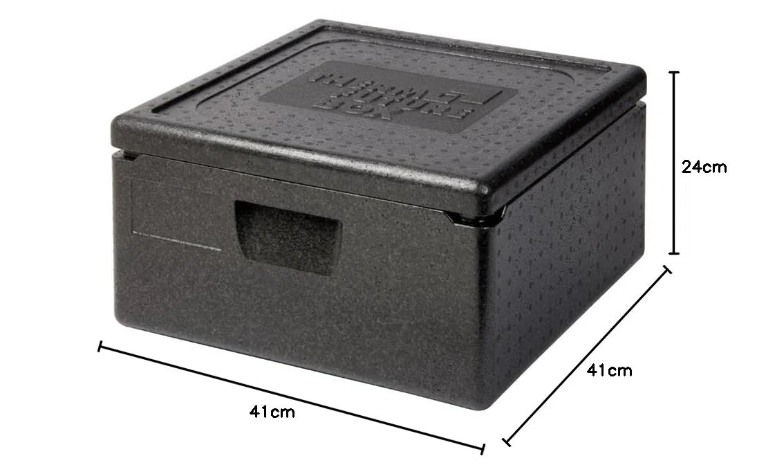 Thermo Future Box Quadratische Thermobx Kühlbox Contenitore Coperchio, Scatola Termica in EPP (Polipropilene espanso), Nero, 21 l