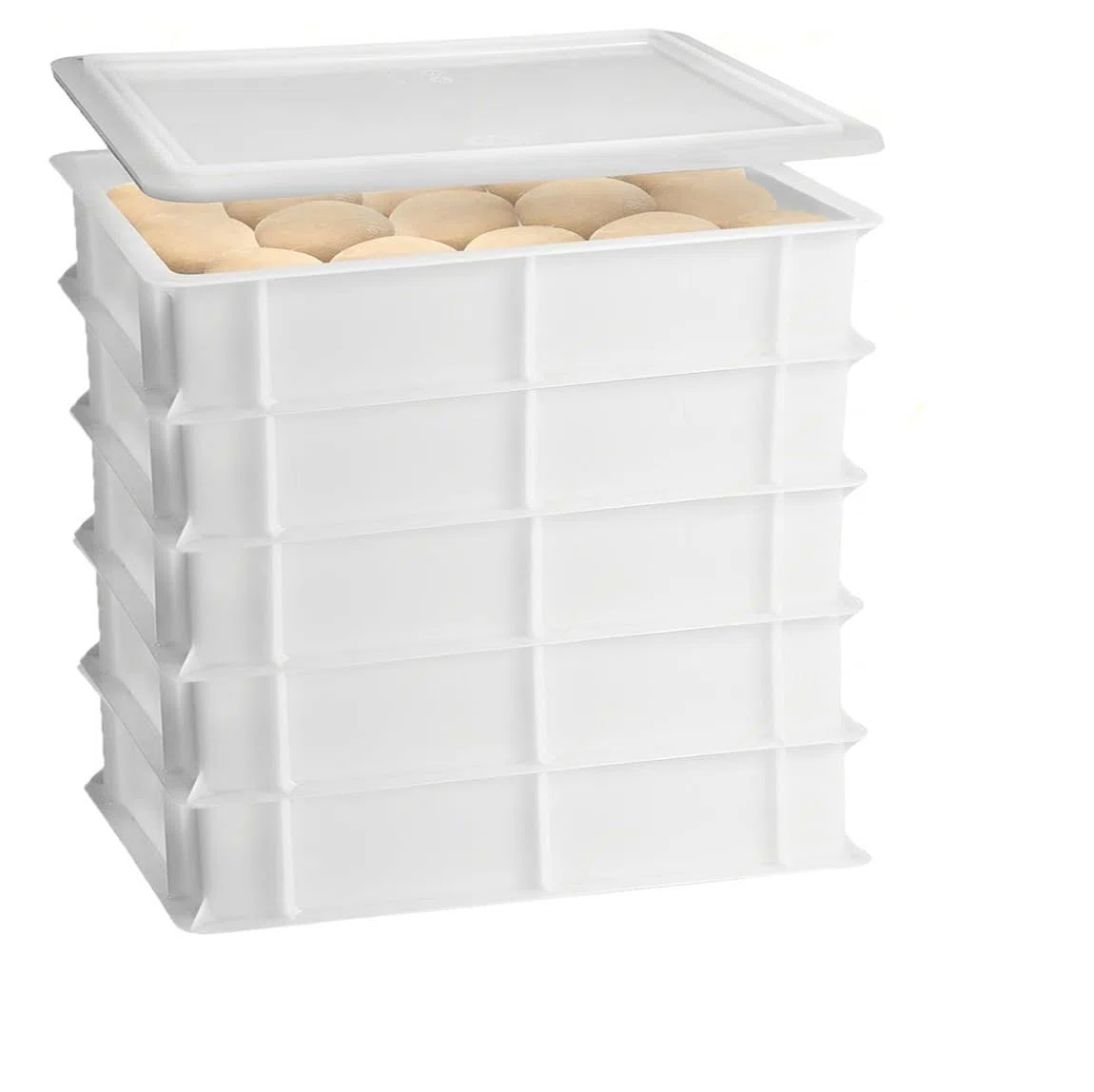 Set 5 Cassette con Coperchio portaimpasti palline Pizza Pane panette 60x40x13 certificata per alimenti VASCHETTA DA FRIGO professionale litri 24 impilabile sovrapponibile PIZZERIA CASEIFICI